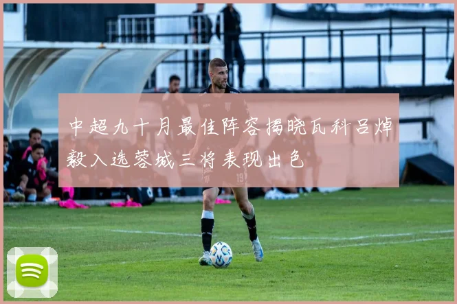 中超九十月最佳阵容揭晓瓦科吕焯毅入选蓉城三将表现出色