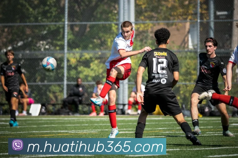 华体会体育平台生态图