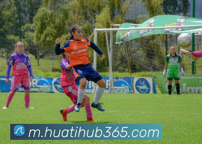 华体会体育APP 封面图